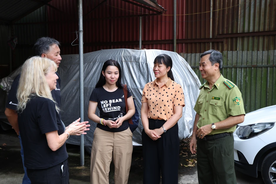 Cứu hộ thành công 2 cá thể gấu ngựa tại Hà Nội Cứu hộ thành công 2 cá thể gấu ngựa tại Hà Nội