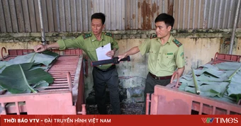 Cứu hộ thành công 2 cá thể gấu ngựa tại Hà Nội