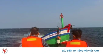 Cứu kịp thời 2 thuyền viên tàu cá bị chìm cách bờ 4 hải lý