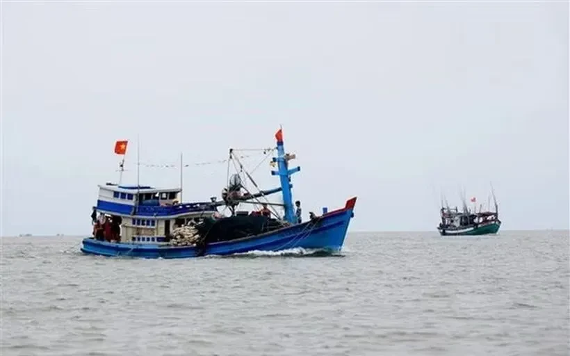 Cứu nạn thành công ngư dân gặp tai nạn trên biển Cứu nạn thành công ngư dân gặp tai nạn trên biển