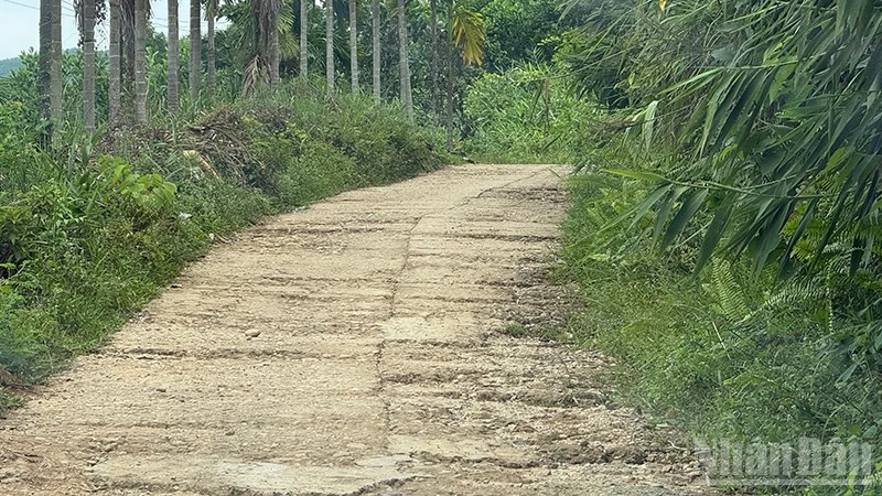 Đà Nẵng: Đường giao thông vào làng đồng bào dân tộc Cor ở xã Phú Ninh xuống cấp nghiêm trọng Đà Nẵng: Đường giao thông vào làng đồng bào dân tộc Cor ở xã Phú Ninh xuống cấp nghiêm trọng