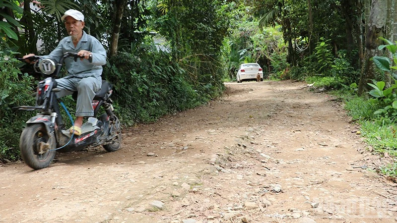 Đà Nẵng: Đường giao thông vào làng đồng bào dân tộc Cor ở xã Phú Ninh xuống cấp nghiêm trọng Đà Nẵng: Đường giao thông vào làng đồng bào dân tộc Cor ở xã Phú Ninh xuống cấp nghiêm trọng