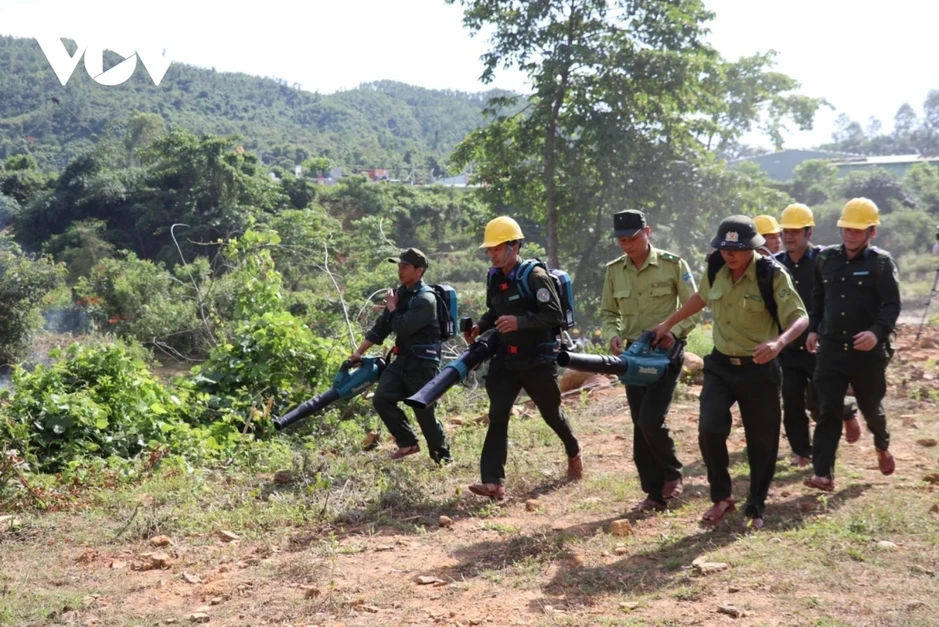 Đà Nẵng nâng cao trách nhiệm, kiểm soát chặt nguy cơ cháy rừng Đà Nẵng nâng cao trách nhiệm, kiểm soát chặt nguy cơ cháy rừng