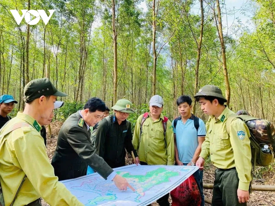 Đà Nẵng nâng cao trách nhiệm, kiểm soát chặt nguy cơ cháy rừng Đà Nẵng nâng cao trách nhiệm, kiểm soát chặt nguy cơ cháy rừng