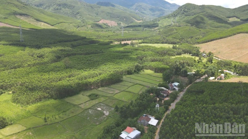 Đà Nẵng: Phát triển kinh tế-xã hội xã Tam Mỹ trên cơ sở “bảo tồn là nền tảng” Đà Nẵng: Phát triển kinh tế-xã hội xã Tam Mỹ trên cơ sở “bảo tồn là nền tảng”