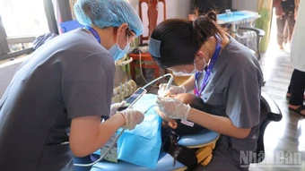 Đà Nẵng quyết liệt triển khai Nghị quyết 72-NQ/TW, nâng cao chất lượng chăm sóc sức khỏe người dân