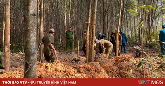 Đà Nẵng: Truy quét, ngăn chặn hoạt động khai thác vàng trái phép