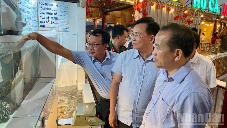 Đặc khu Phú Quý cần quy hoạch bài bản để tăng tốc phát triển Đặc khu Phú Quý cần quy hoạch bài bản để tăng tốc phát triển