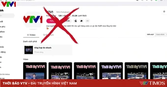 Đài Truyền hình Việt Nam bị mạo danh, cắt ghép, sử dụng trái phép nội dung trên không gian mạng