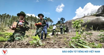Đắk Lắk phát hiện, quy tập thêm một hài cốt liệt sĩ tại núi Cư Jú