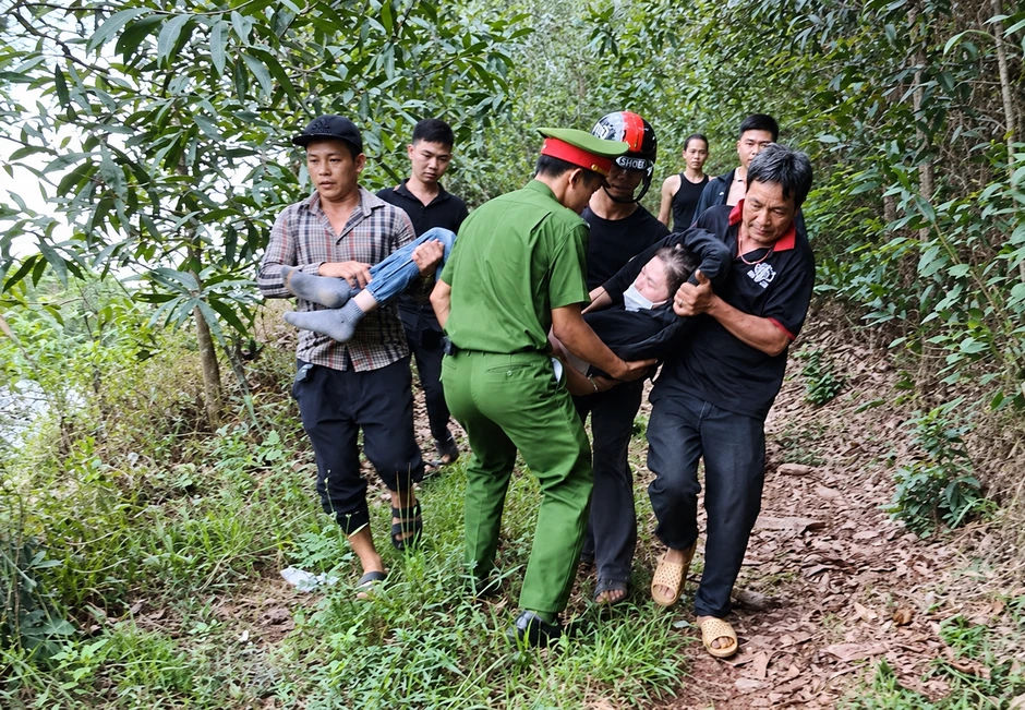 Dẫm phải tổ ong vò vẽ khi vào rừng tìm nấm Dẫm phải tổ ong vò vẽ khi vào rừng tìm nấm