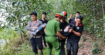 Dẫm phải tổ ong vò vẽ khi vào rừng tìm nấm