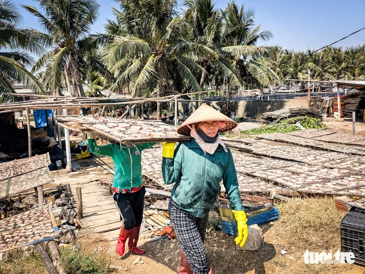 Dân kêu trời vì mùi hôi thối từ 50 cơ sở chế biến mực xà Dân kêu trời vì mùi hôi thối từ 50 cơ sở chế biến mực xà