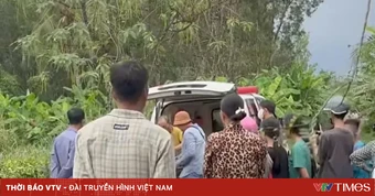 Đang cưa cây thuê, một người đàn ông ở Cà Mau bị sét đánh tử vong