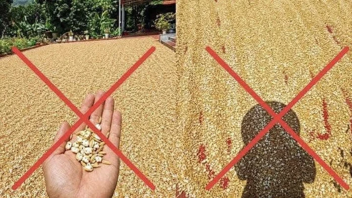 Đăng tin thóc phơi ngoài trời "nổ thành bỏng", người đàn ông bị xử lý Đăng tin thóc phơi ngoài trời "nổ thành bỏng", người đàn ông bị xử lý