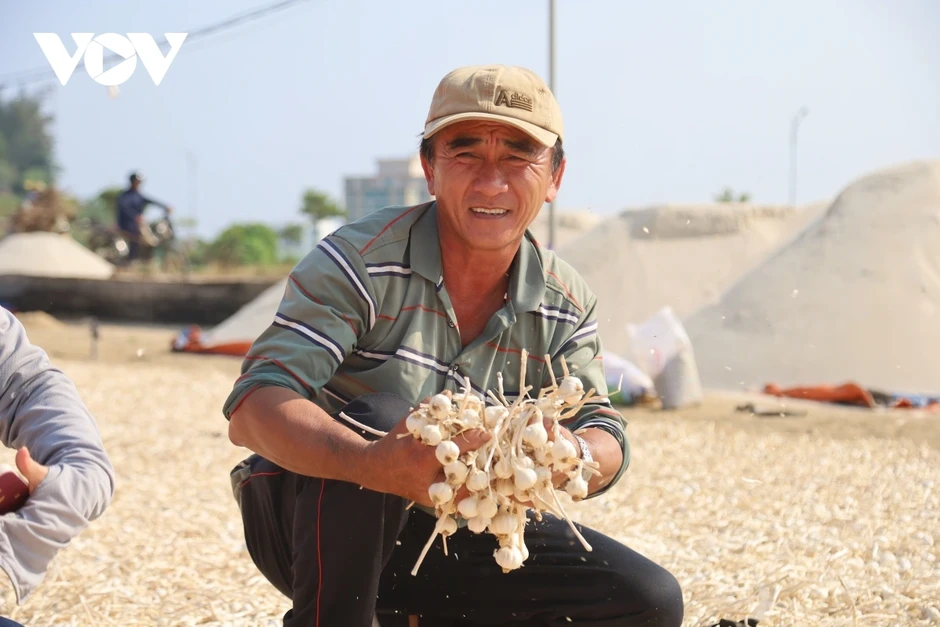 Đảo Lý Sơn lo thiếu nước sinh hoạt và sản xuất nông nghiệp Đảo Lý Sơn lo thiếu nước sinh hoạt và sản xuất nông nghiệp