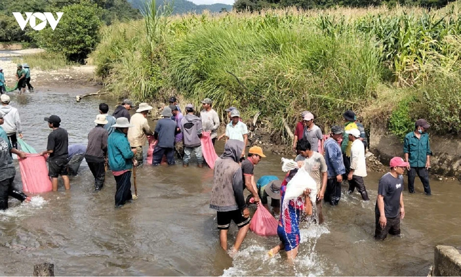 Đập Làng hư hỏng khiến sản xuất của đồng bào K'ho, Raglai ở Lâm Đồng gặp khó khăn Đập Làng hư hỏng khiến sản xuất của đồng bào K'ho, Raglai ở Lâm Đồng gặp khó khăn
