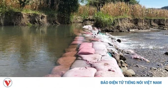 Đập Làng hư hỏng khiến sản xuất của đồng bào K'ho, Raglai ở Lâm Đồng gặp khó khăn