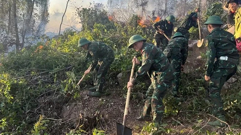 Dập tắt 3 điểm cháy rừng trên địa bàn tỉnh Thanh Hóa Dập tắt 3 điểm cháy rừng trên địa bàn tỉnh Thanh Hóa