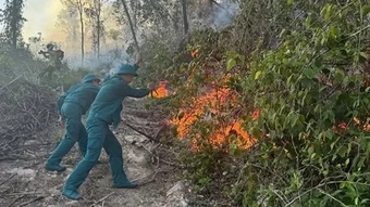 Dập tắt 3 điểm cháy rừng trên địa bàn tỉnh Thanh Hóa