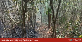 Dập tắt hoàn toàn vụ cháy rừng tại Sơn La sau 1 ngày