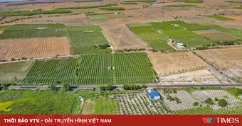 Đất vào quy hoạch nhưng chưa triển khai, có được chuyển mục đích?