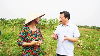 Dấu ấn tại những đô thị đặc biệt