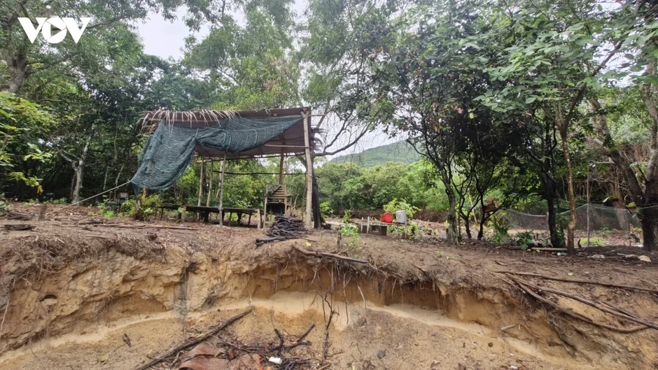 Đầu tư bảo tồn các khu Ramsar vì một Việt Nam xanh Đầu tư bảo tồn các khu Ramsar vì một Việt Nam xanh