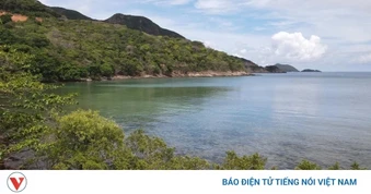 Đầu tư bảo tồn các khu Ramsar vì một Việt Nam xanh