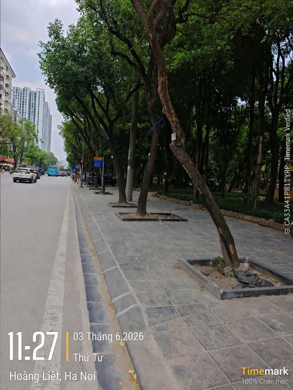 Đẩy nhanh tiến độ cải tạo vỉa hè phố Trần Thủ Độ, dự kiến hoàn thành trước 20/6 Đẩy nhanh tiến độ cải tạo vỉa hè phố Trần Thủ Độ, dự kiến hoàn thành trước 20/6
