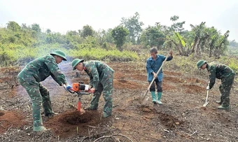 Đẩy nhanh tiến độ thực hiện chiến dịch "Điện Biên Phủ trong thời bình"