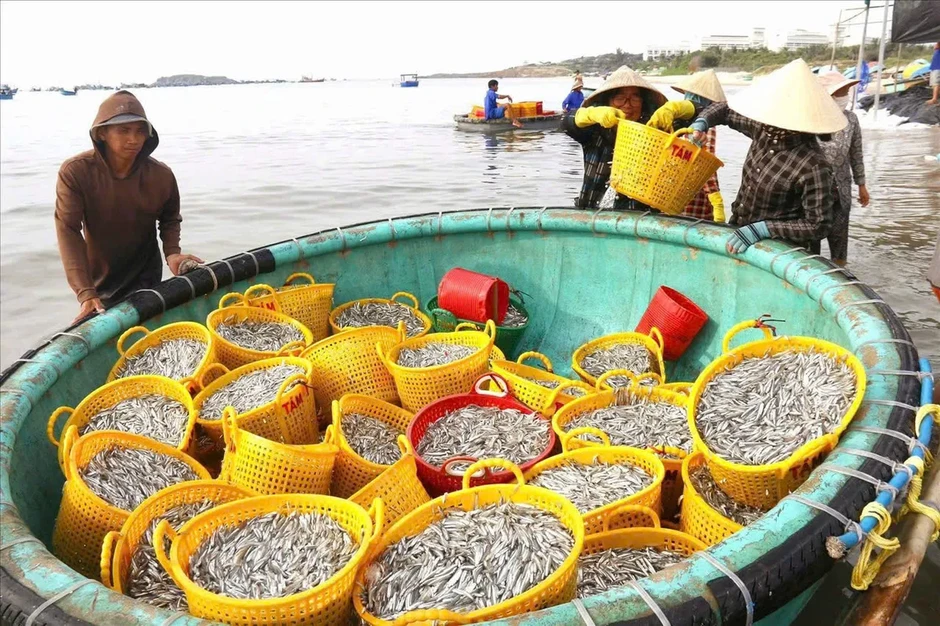 Đề xuất công nhận nghề nước mắm Phan Thiết là di sản quốc gia Đề xuất công nhận nghề nước mắm Phan Thiết là di sản quốc gia