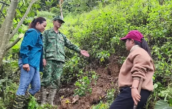 Di dời 40 hộ dân ra khỏi khu vực nguy cơ sạt lở ở Đà Nẵng