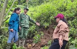 Di dời 40 hộ dân ra khỏi khu vực nguy cơ sạt lở ở Đà Nẵng