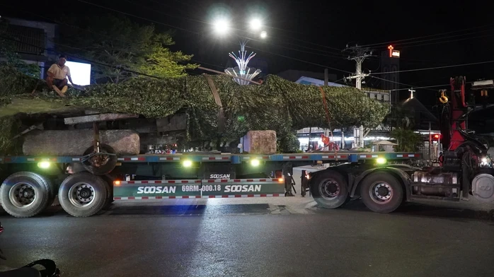 Di dời chiếc máy bay MiG-21 bị "bỏ quên" hơn 40 năm ở Cà Mau