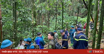 Đi tìm thảo dược, người đàn ông mất tích trong rừng