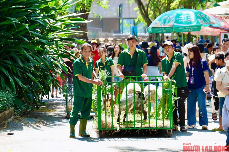 Địa điểm nổi tiếng ở TPHCM đón sinh nhật thứ 162 Địa điểm nổi tiếng ở TPHCM đón sinh nhật thứ 162