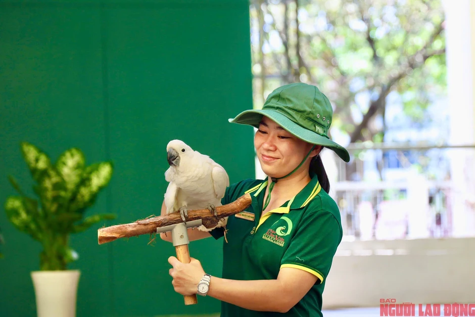 Địa điểm nổi tiếng ở TPHCM đón sinh nhật thứ 162 Địa điểm nổi tiếng ở TPHCM đón sinh nhật thứ 162