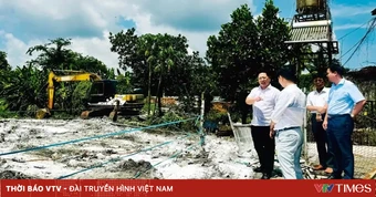 Dịch tả lợn châu Phi bùng phát ở Đồng Nai, gần 2.000 con lợn bị tiêu hủy
