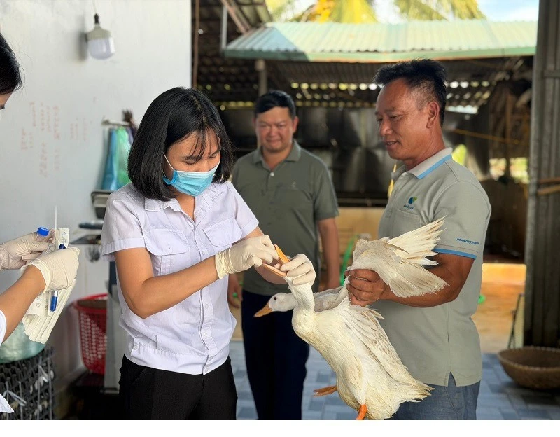Điện Biên chỉ đạo không được che giấu tình trạng dịch bệnh cúm A(H5N1) trên địa bàn Điện Biên chỉ đạo không được che giấu tình trạng dịch bệnh cúm A(H5N1) trên địa bàn