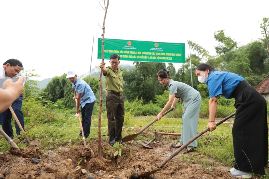 Điện Biên phát động hưởng ứng ngày môi trường thế giới năm 2026 Điện Biên phát động hưởng ứng ngày môi trường thế giới năm 2026