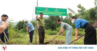 Điện Biên phát động hưởng ứng ngày môi trường thế giới năm 2026