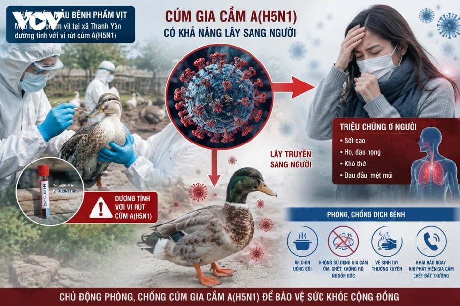 Điện Biên siết chặt công tác phòng, chống cúm gia cầm A(H5N1) Điện Biên siết chặt công tác phòng, chống cúm gia cầm A(H5N1)