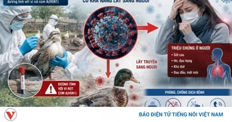 Điện Biên siết chặt công tác phòng, chống cúm gia cầm A(H5N1)