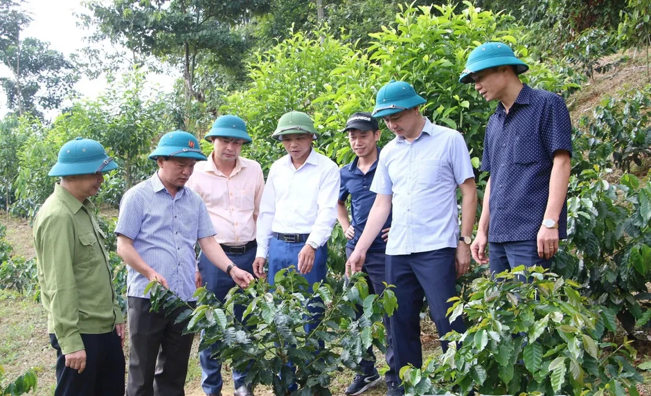Điện Biên tạo đột phá phát triển từ tinh thần hành động sau Nghị quyết Đại hội XIV của Đảng Điện Biên tạo đột phá phát triển từ tinh thần hành động sau Nghị quyết Đại hội XIV của Đảng