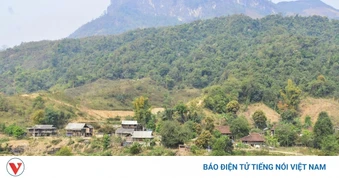 Điện Biên tạo nền tảng phát triển tín chỉ carbon rừng