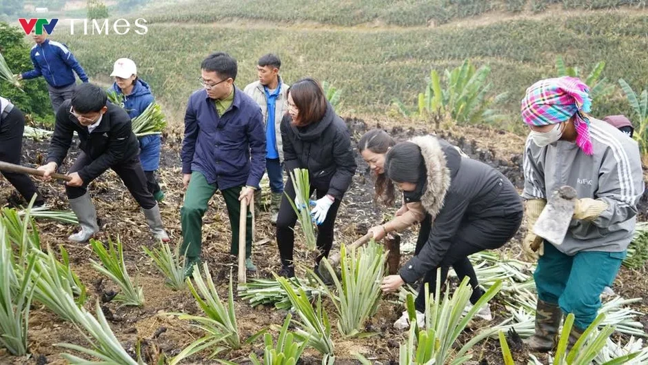 Điện Biên tìm lời giải cho “điểm nghẽn” thu nhập sau sáp nhập xã Điện Biên tìm lời giải cho “điểm nghẽn” thu nhập sau sáp nhập xã
