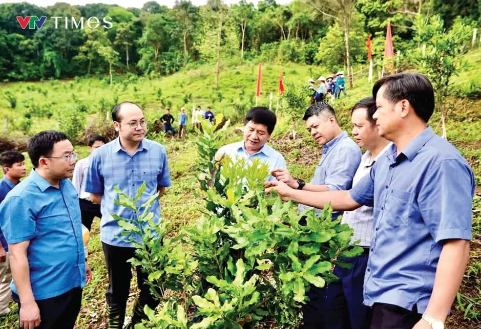 Điện Biên tìm lời giải cho “điểm nghẽn” thu nhập sau sáp nhập xã Điện Biên tìm lời giải cho “điểm nghẽn” thu nhập sau sáp nhập xã