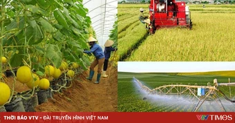 Điều kiện công nhận xã đạt chuẩn nông thôn mới, nông thôn mới hiện đại