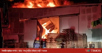 Điều tra nguyên nhân vụ cháy thiêu rụi hơn 17.000 m² nhà xưởng của công ty gỗ